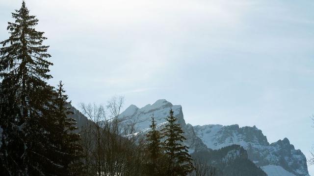 Appartements SUNOTEL - Les Carroz d'Araches