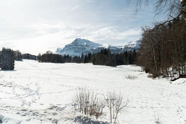 Appartements SUNOTEL - Les Carroz d'Araches