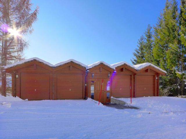 Appartement Soldanella - Crans - Montana 