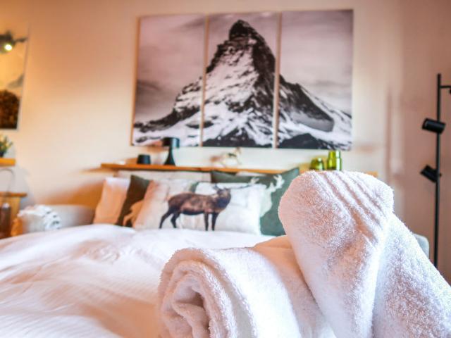 Appartement Ambassador II / 5 - Nendaz