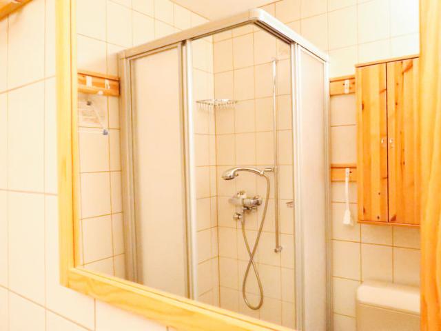 Appartement Ambassador II / 5 - Nendaz