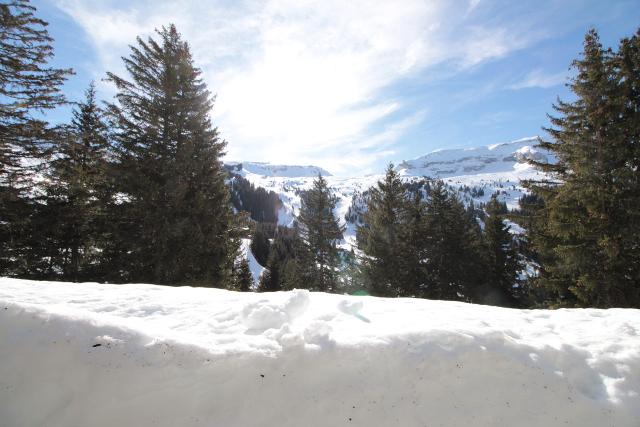 Appartements GRANDS VANS - Flaine Forêt 1700