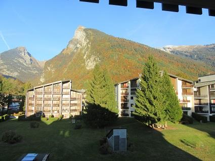 Appartement Les Edelweiss ST11 - Samoëns