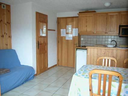 Appartement Parc Aux Biches 2P05 - Samoëns