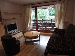 Appartement Les Rhodos ST10 - Samoëns