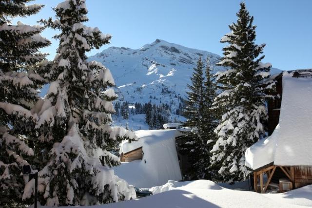 Appartements ARAUCARYA - Avoriaz
