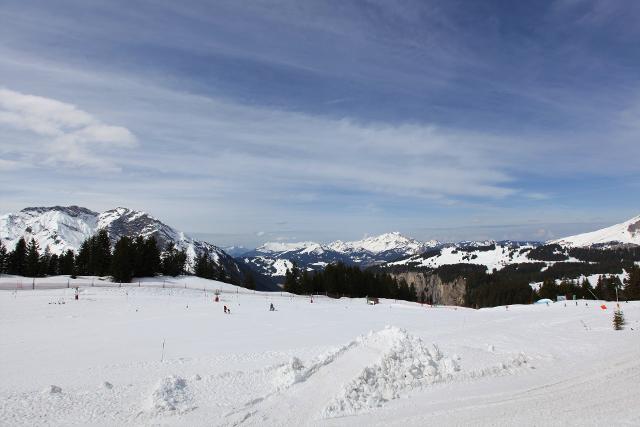 Appartements MALINKA - Avoriaz