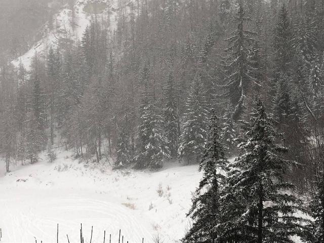 Appartement Rochaille 1 112 - Praloup