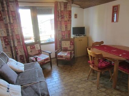 Appartement Les Knautias ST46 - Samoëns