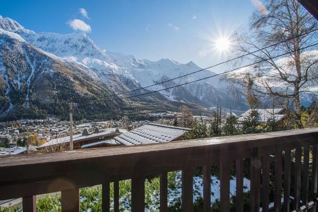 Appartements Cretet - Chamonix Savoy Brévent