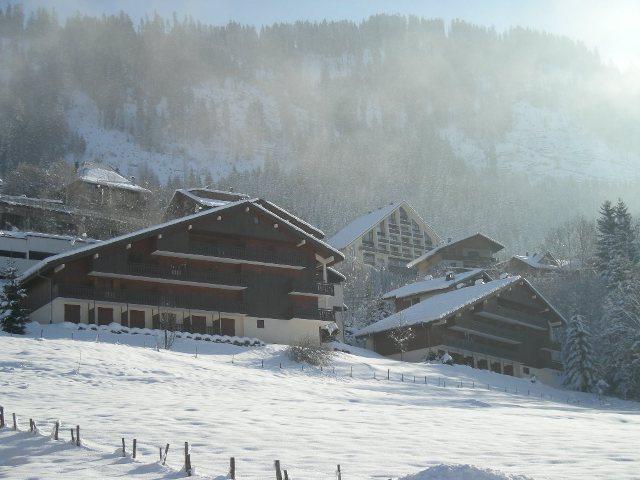 Appartements LES GENTIANES - Châtel