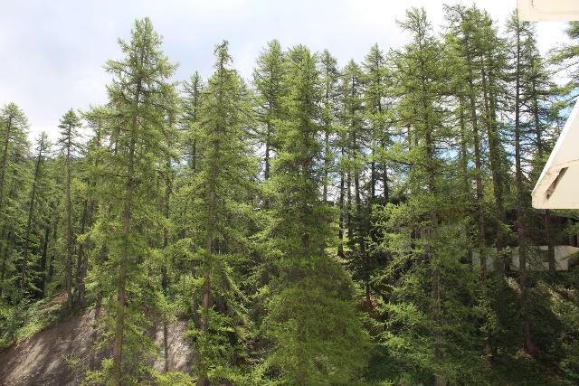 Appartement Ski Soleil VRS320-0518 - Vars