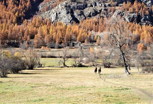 Appartement Jardins Alpins A LSA310-A105 - Serre Chevalier 1400 - Villeneuve