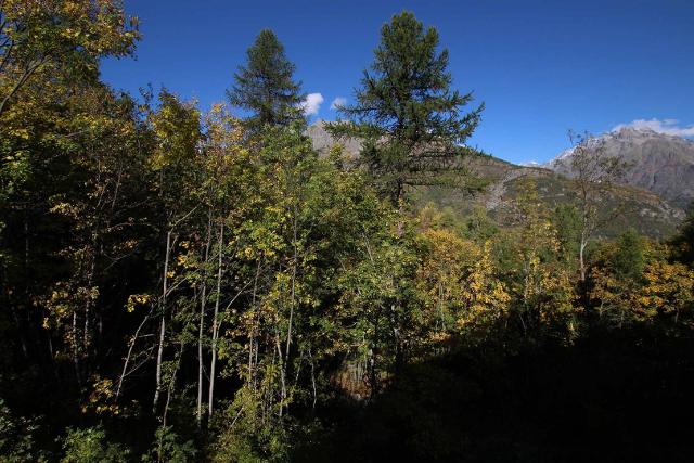 Appartement Les Eyssallarettes PSV130-B11 - Puy Saint Vincent