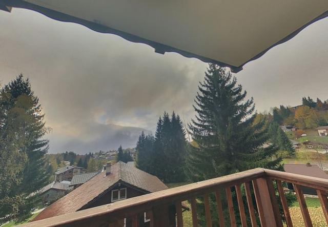 Appartement Adenora - Les Carroz d'Araches