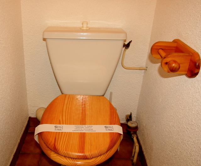 Appartement Les Campanules - Les Carroz d'Araches