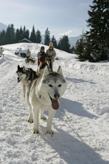 Appartement Le Ski D'Or - Les Carroz d'Araches