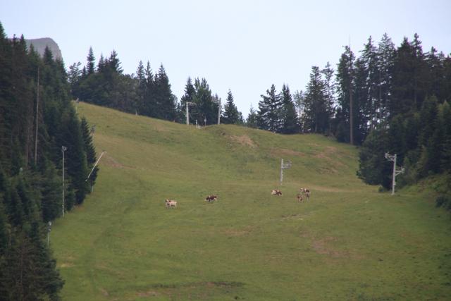 Appartement Le Sunhotel - Les Carroz d'Araches