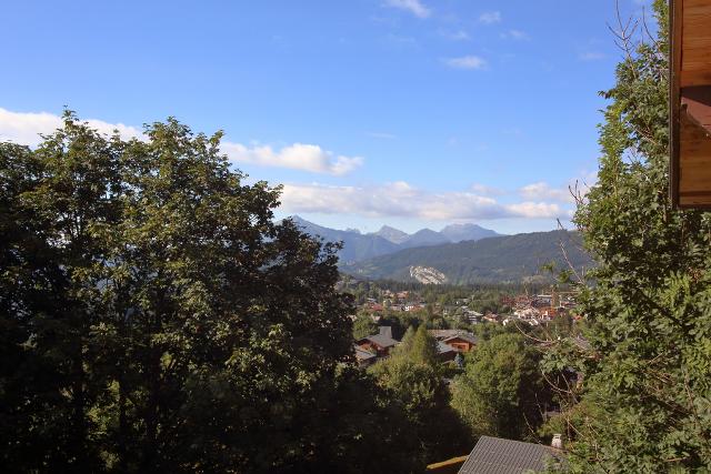 Appartement Chalet Le Nomandie - Les Carroz d'Araches