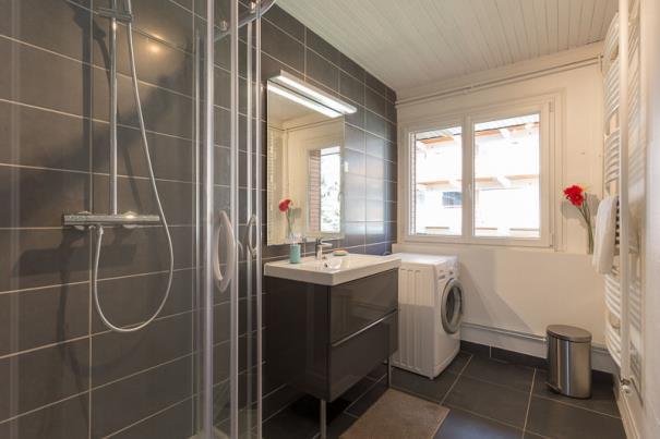 Appartements LES ELFES 54000001 - Les Deux Alpes Venosc