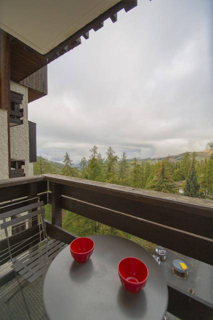 Appartement Le Belvédère B1013 - Les Orres