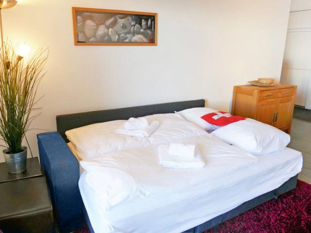 Appartement Mayen de l'Ours C21 - Veysonnaz