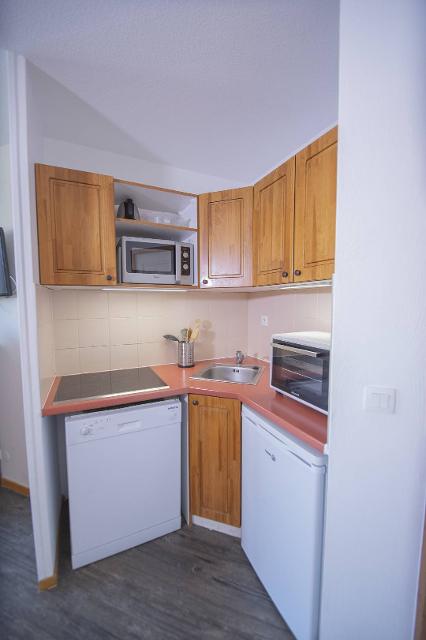 Appartement Les Mélèzes D'or MZ2008 - Les Orres