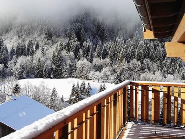 Résidence LES QUATRES ELEMENTS - Châtel