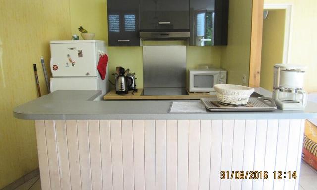 Appartement plein centre de Besse et St Anastaise - Super-Besse