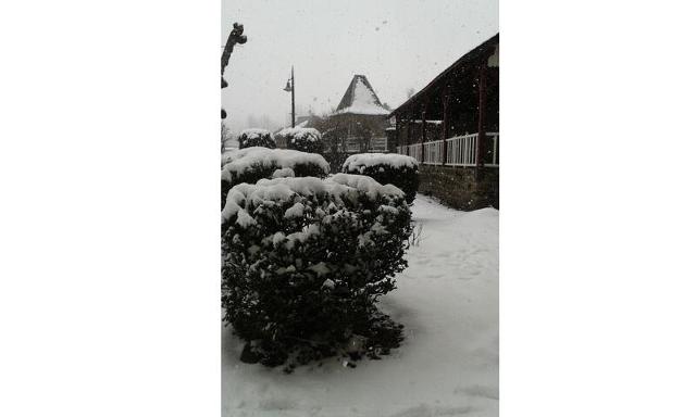 Appartement plein centre de Besse et St Anastaise - Super-Besse