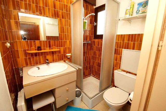 Appartement Saint Christophe SAINT CHRISTOPHE 21 - Les Deux Alpes Centre