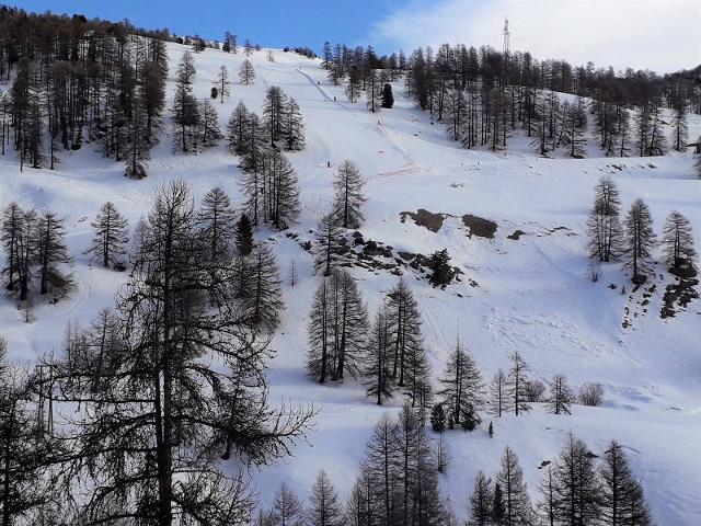 Appartement Lauzet VRS830-0413 - Vars