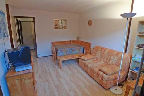 Appartement Les Fougeres 2P15 - Samoëns