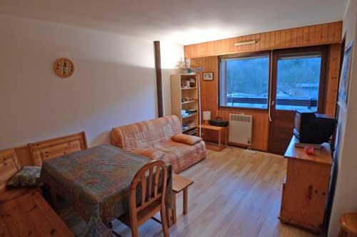 Appartement Les Fougeres 2P15 - Samoëns