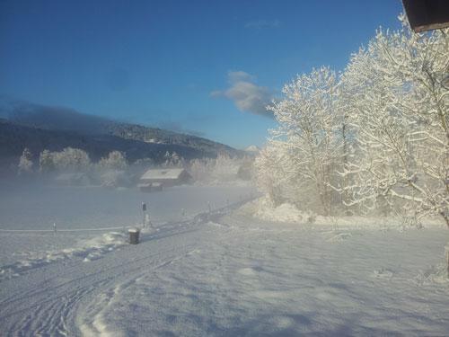 Appartement La Rashe 2P06 - Samoëns