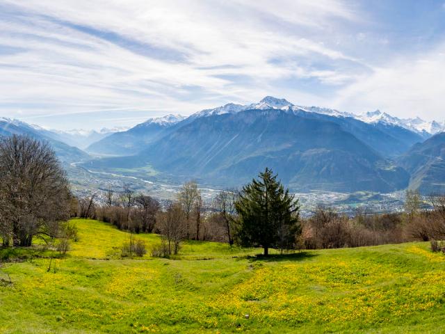 Châlet Le Fontany - Crans - Montana 