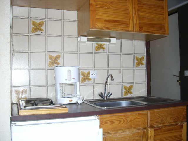 Myosautis 41045 - Serre Chevalier 1500 - Monêtier Les Bains