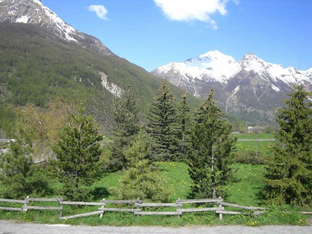 Myosautis 41045 - Serre Chevalier 1500 - Monêtier Les Bains