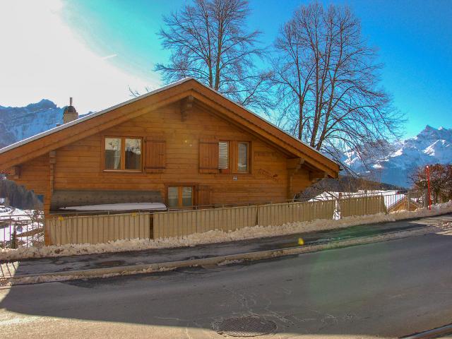 Chalet Chalet Chardonneret - Villars - sur - Ollons 