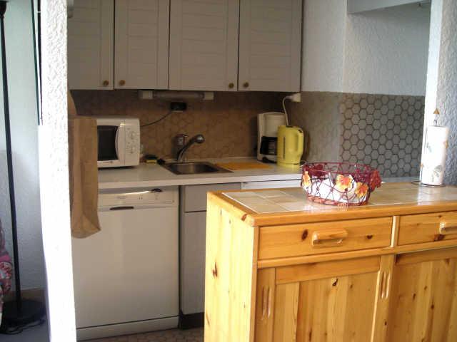 Côte Brune 15700 - Les Deux Alpes Venosc