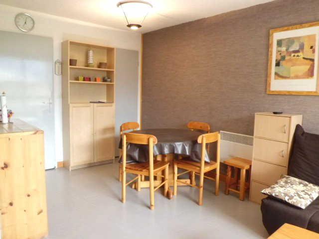 Côte Brune 15700 - Les Deux Alpes Venosc