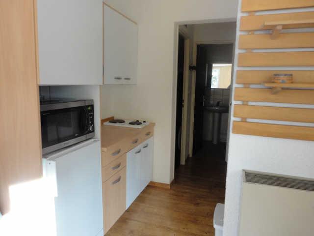 Côte Brune 16986 - Les Deux Alpes Venosc