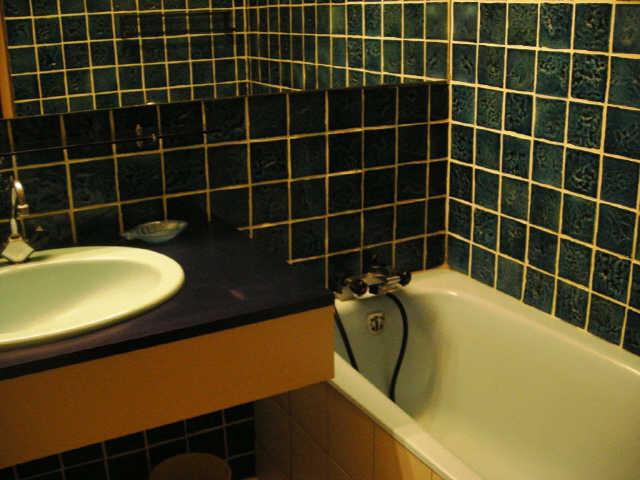 Viking 23044 - Les Deux Alpes Venosc