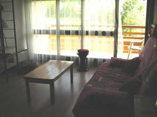 Viking 23044 - Les Deux Alpes Venosc