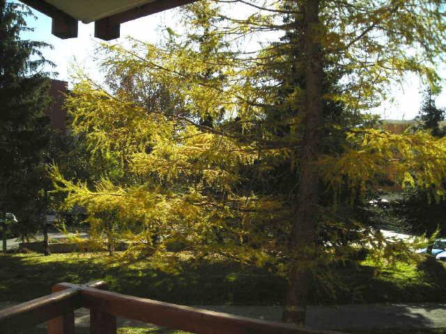 Tyrol 23517 - Les Deux Alpes Centre