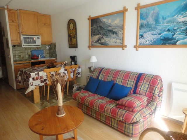 Plein Sud 23554 - Les Deux Alpes Centre