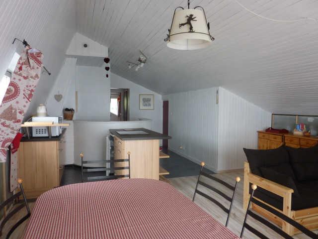 Bleuets 24313 - Les Deux Alpes Centre