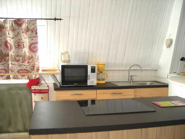 Bleuets 24313 - Les Deux Alpes Centre