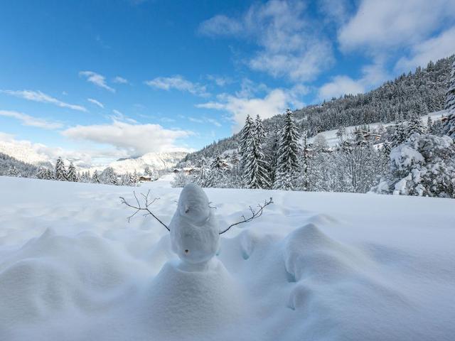 Résidence LE BOIS GENTIL - La Clusaz
