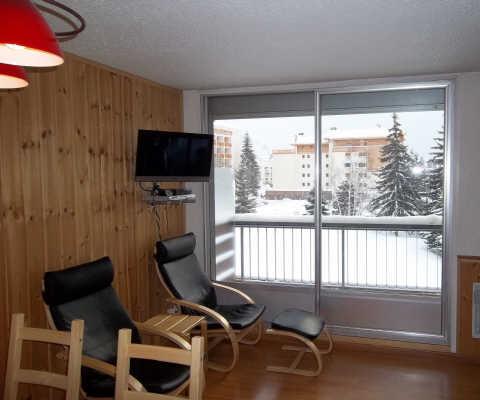 Côte Brune 37343 - Les Deux Alpes Venosc